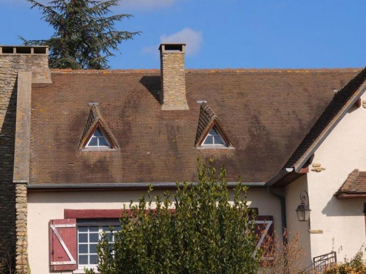 Démousser toiture Sucy-en-Brie