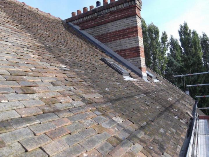 Démoussage de toiture Sucy-en-Brie